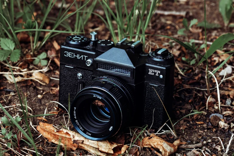 an old black camera sitting on top of leafy ground