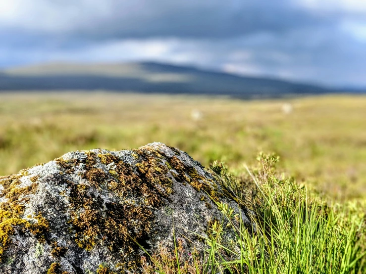 a rock in the middle of a field