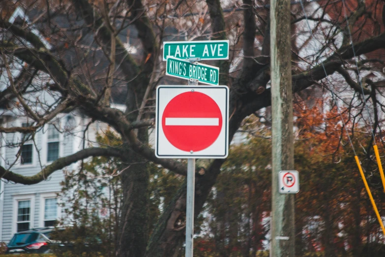 a street sign is next to a big tree