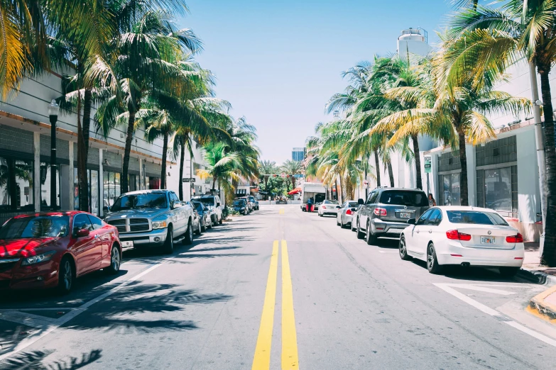 a city street has palm trees and parked cars