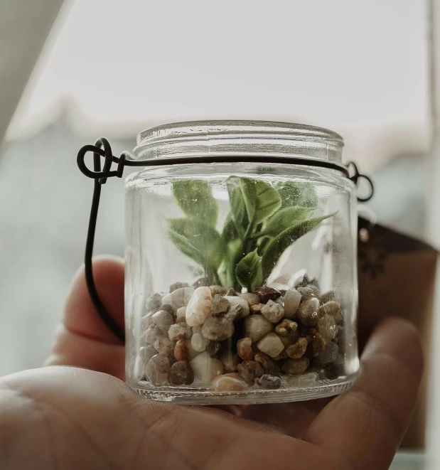 a glass jar filled with small rocks and a plant