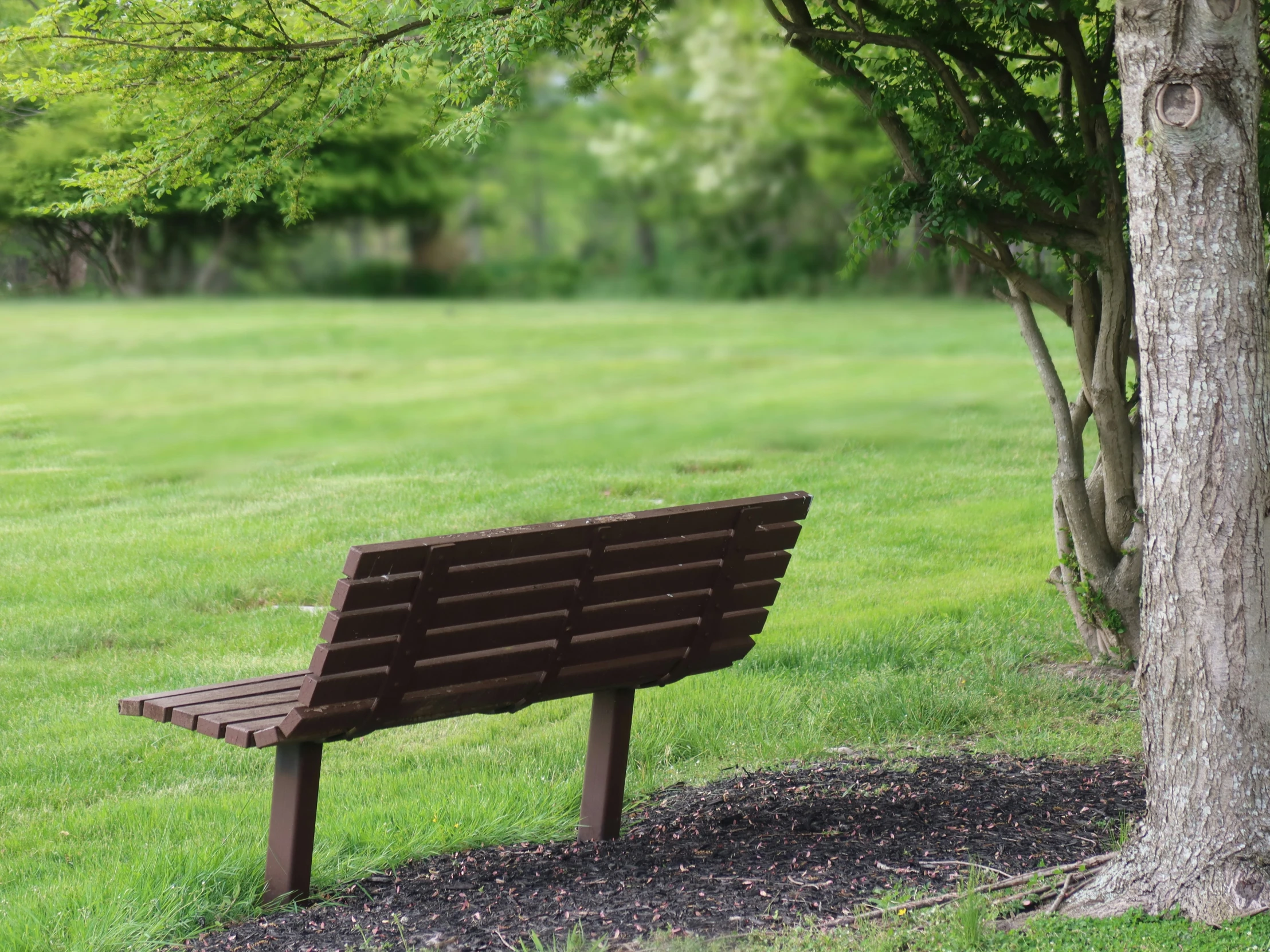 the park bench is located in a grassy field