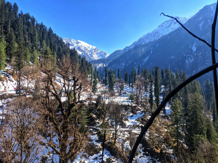 this is a snowy mountain with trees in the foreground