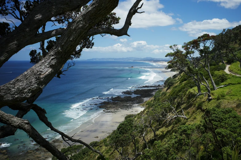 there is a picture taken from the cliff looking down at the beach