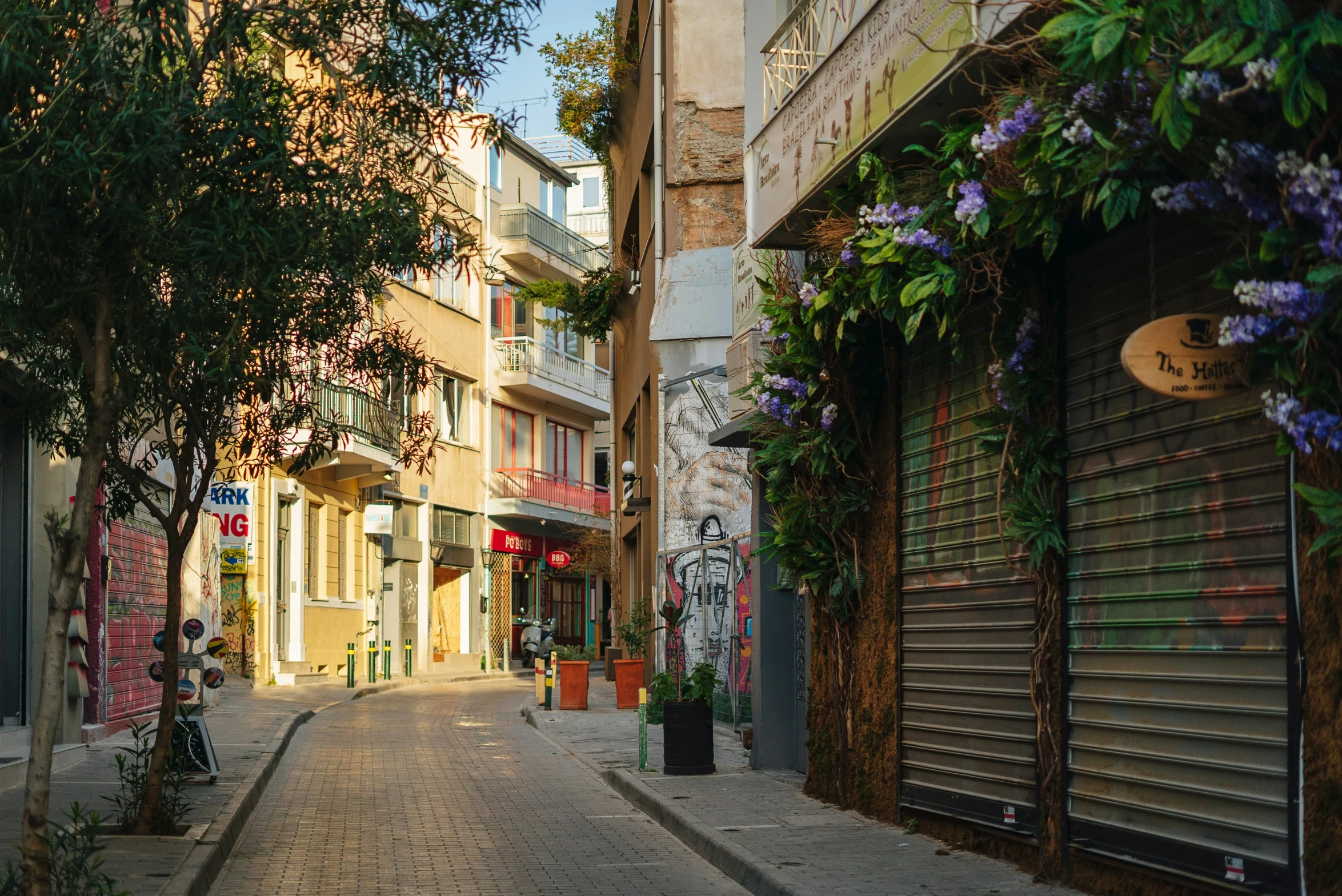 a city street with many tall buildings, with flower pots on the walkway