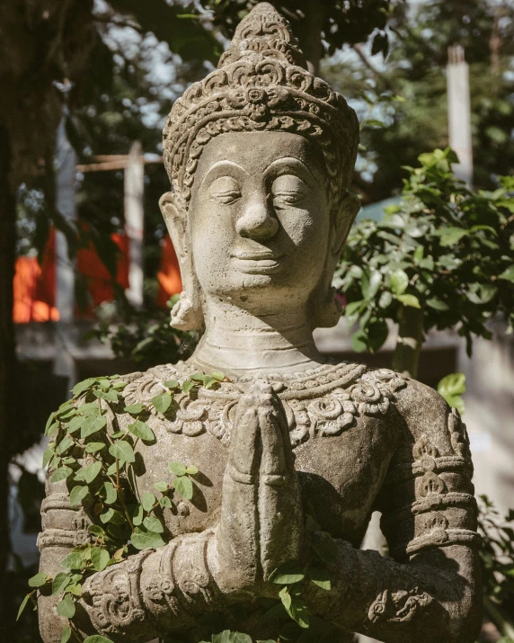 there is a statue of buddha surrounded by greenery