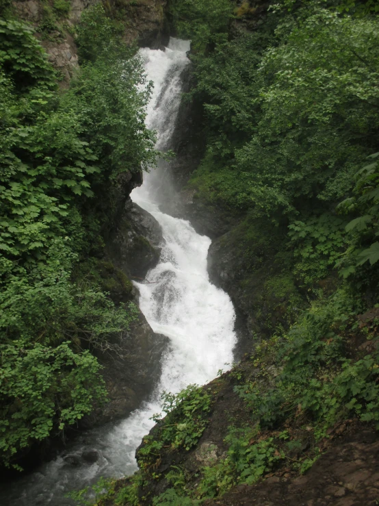 a waterfall in the forest with trees and rocks