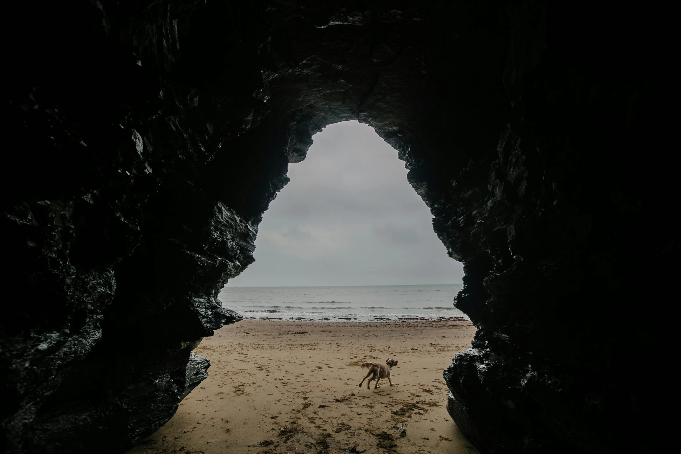 a view looking out from inside an opening to a beach