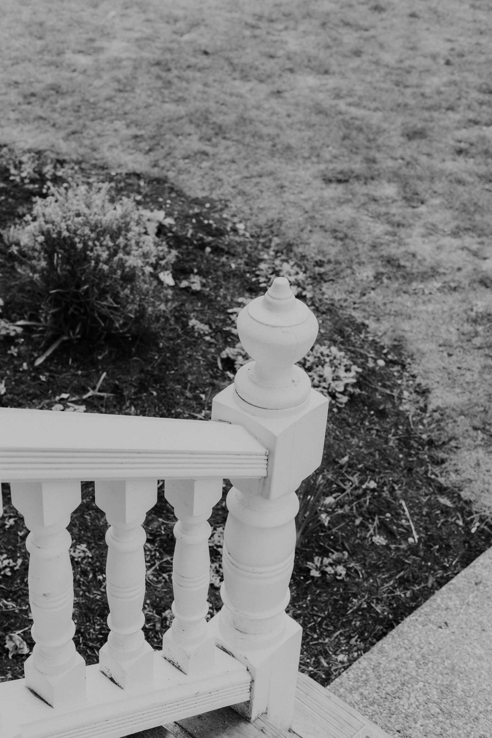 black and white pograph of bench near bush