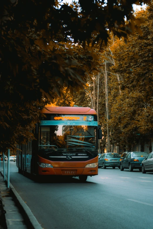 the bus is parked beside the curb on the street