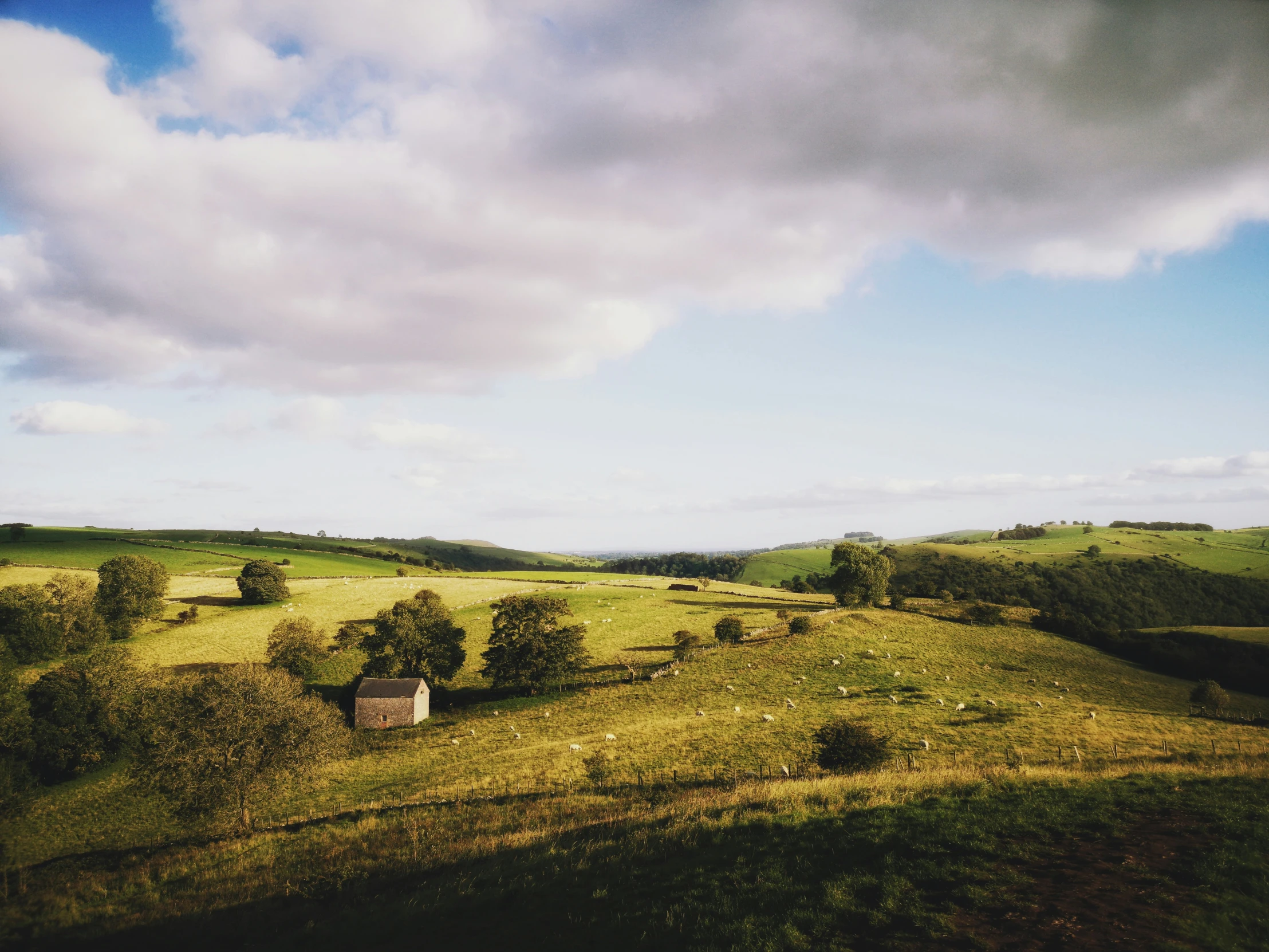 a hill with lots of green hills and trees