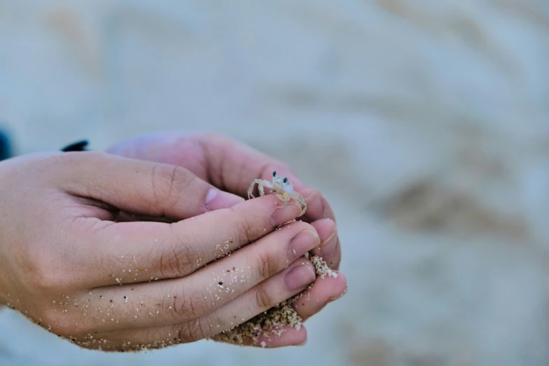 there is a person cupping sand in their hands