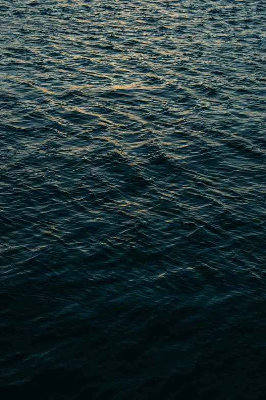 the water is glistening on a clear day