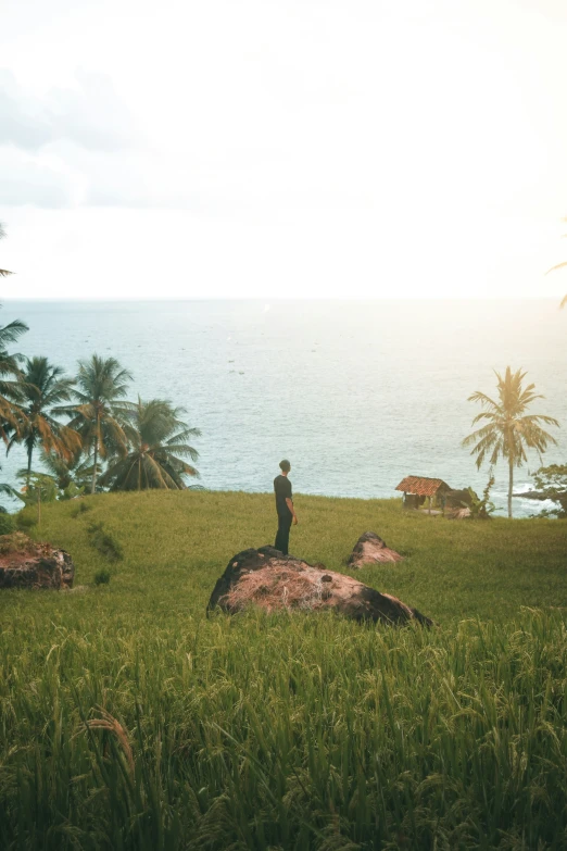 the lone figure is on top of the green hill