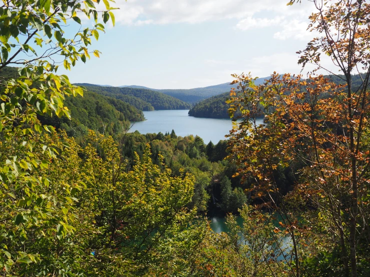 a view of some mountains and trees near a lake