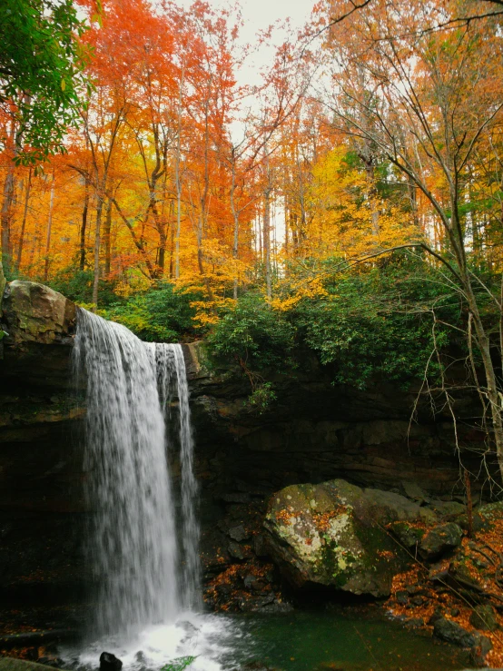 a waterfall with fall foliage surrounding it