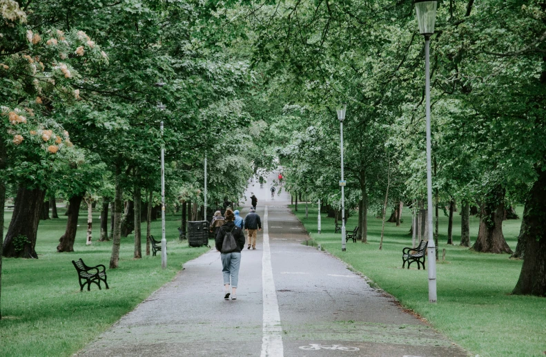 some people walking down a path in the woods