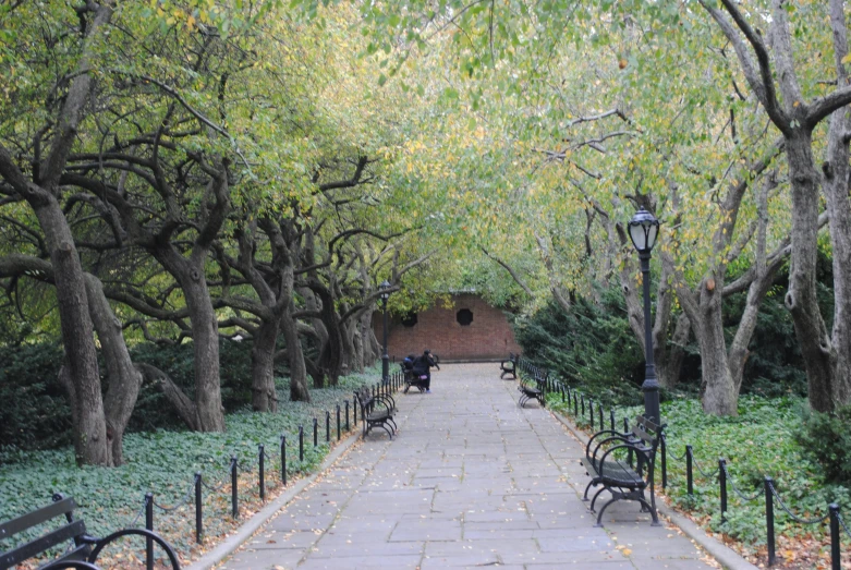 a pathway between two buildings with trees in front