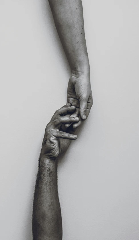 two hands holding one another, on a white background