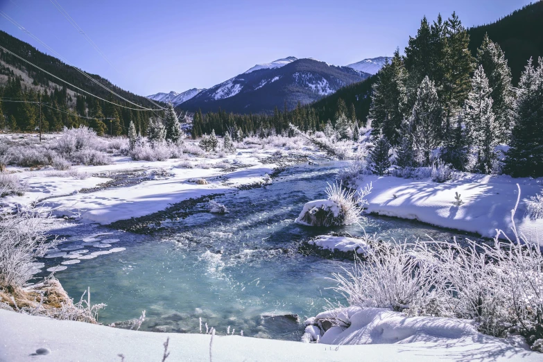 some trees and some snow water and mountains