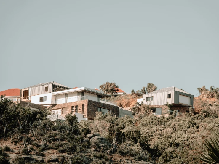 houses perched in the trees on top of a hill