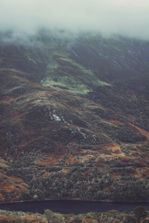 fog on the mountain and trees in the foreground