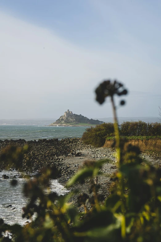 a beautiful view of the ocean with flowers and rocks