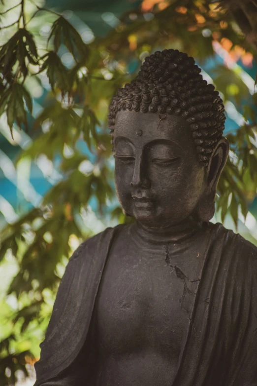 buddha statue in front of some nches in a park