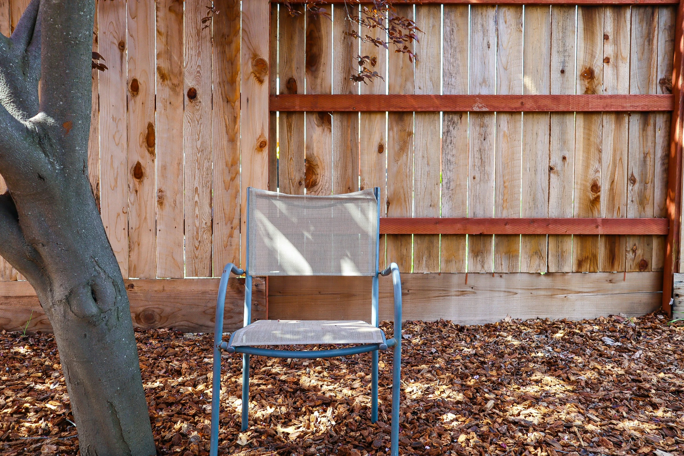 a chair and a tree in front of a wooden fence