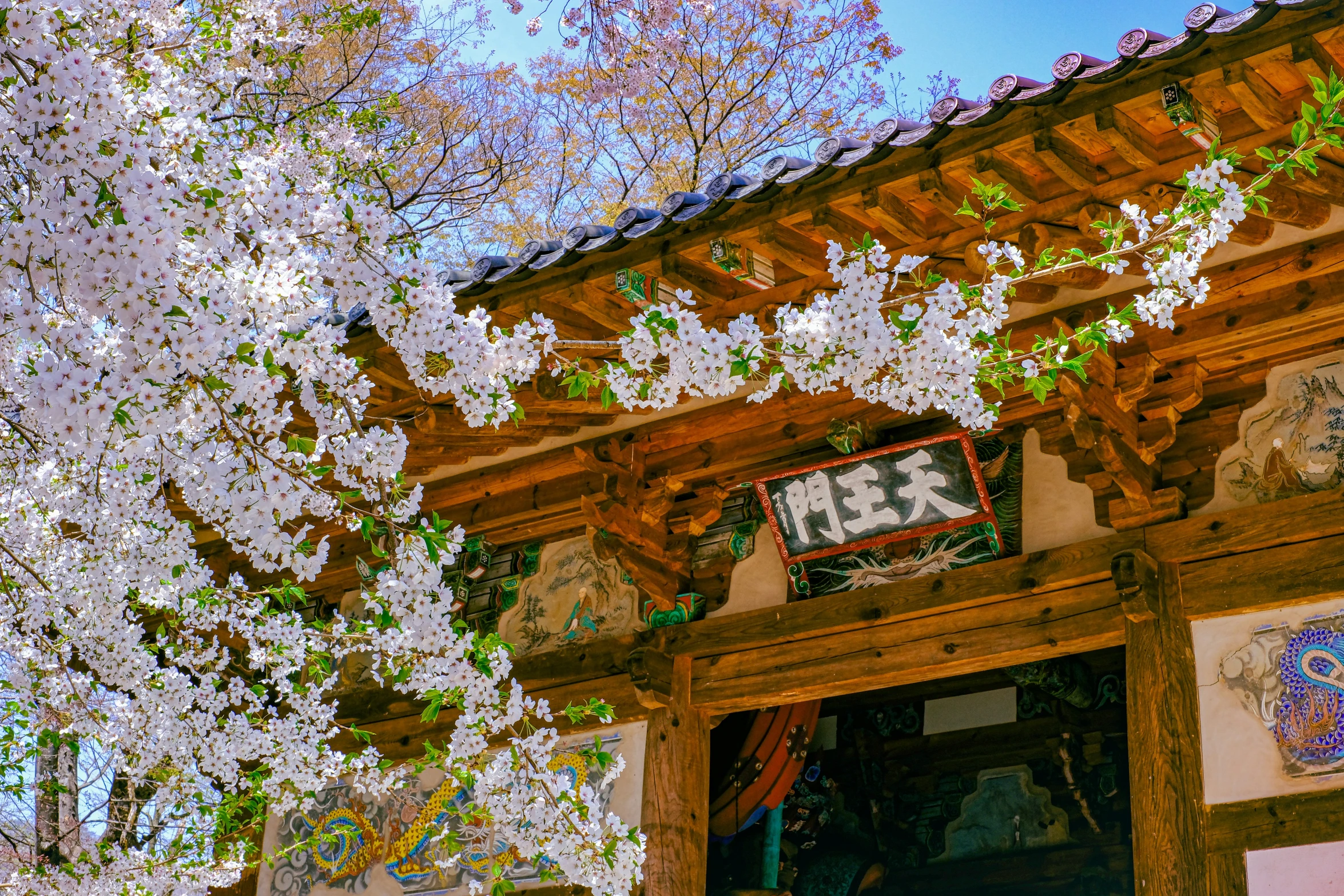 an asian building with white and pink flowers in bloom