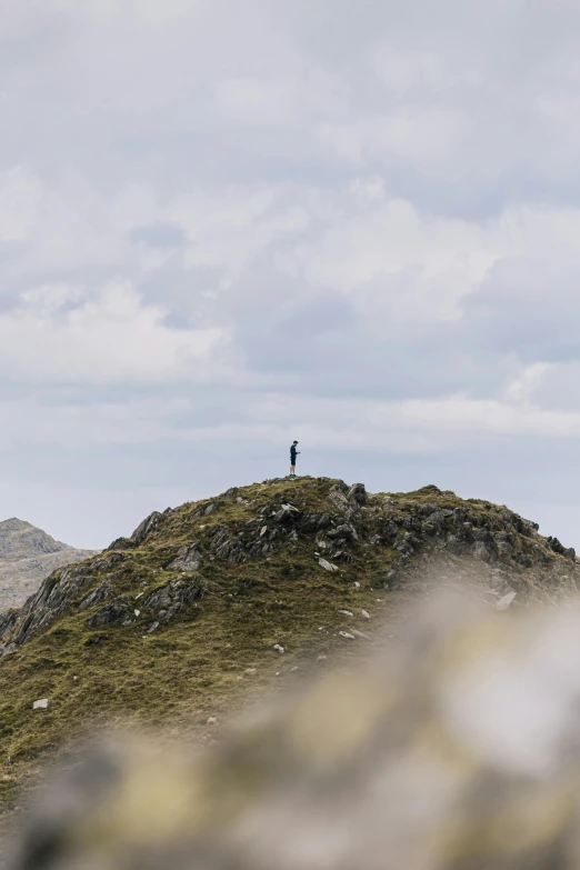 an animal standing on top of a grass covered mountain