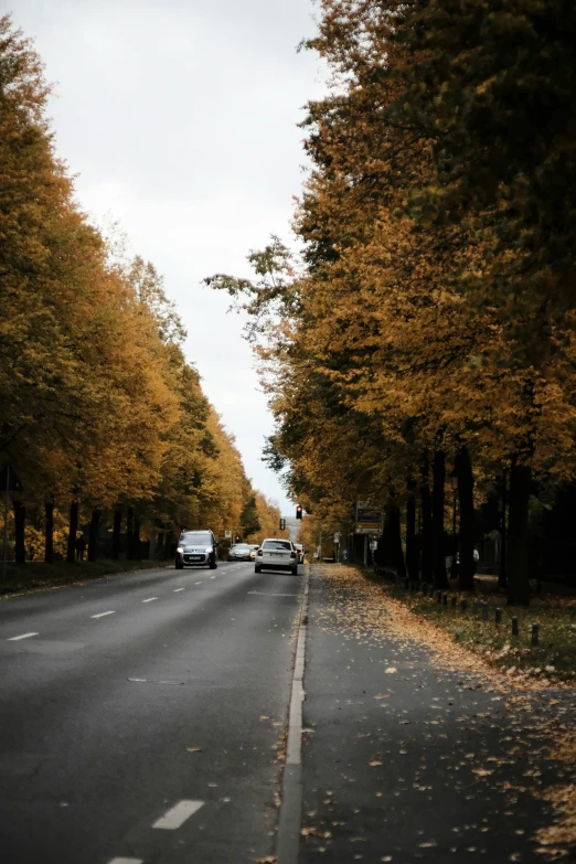 a bus driving down the road with golden leaves all around