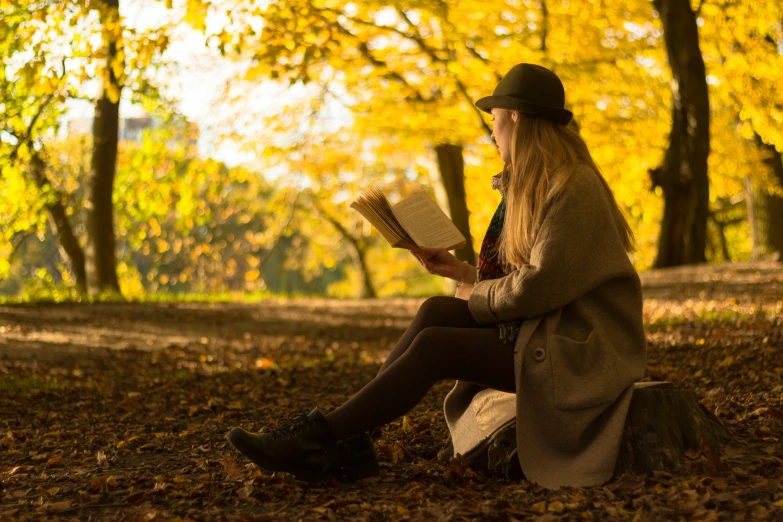 a person sitting in the leaves in a park