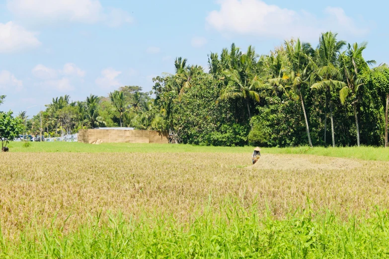 a person riding a horse across a grass covered field