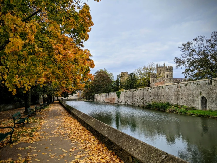 the trees line a river near a stone wall