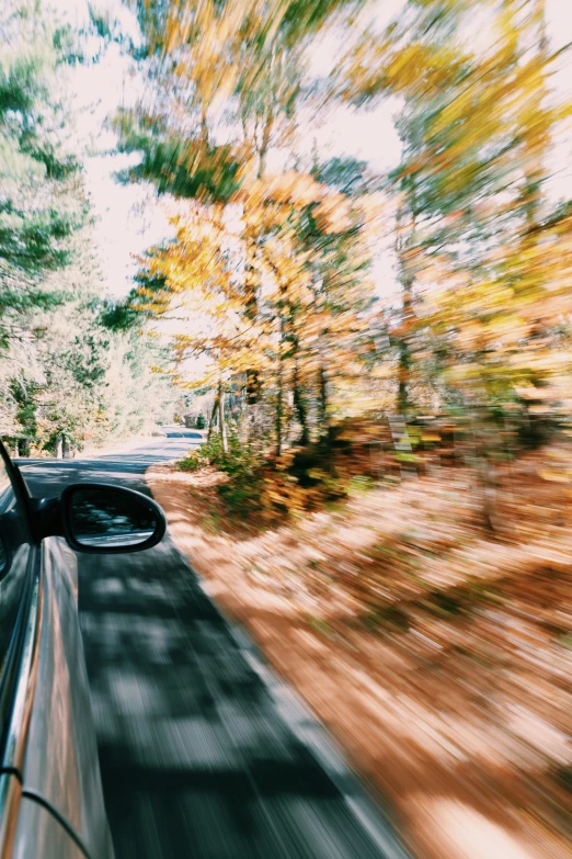 a car driving down the road with trees on either side