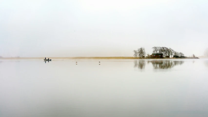 people stand in the fog on the edge of the water