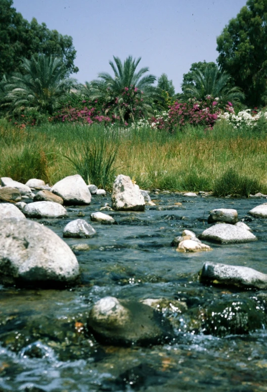 a body of water with rocks in it