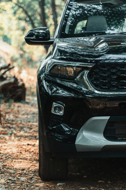 black sub panel car in a forest