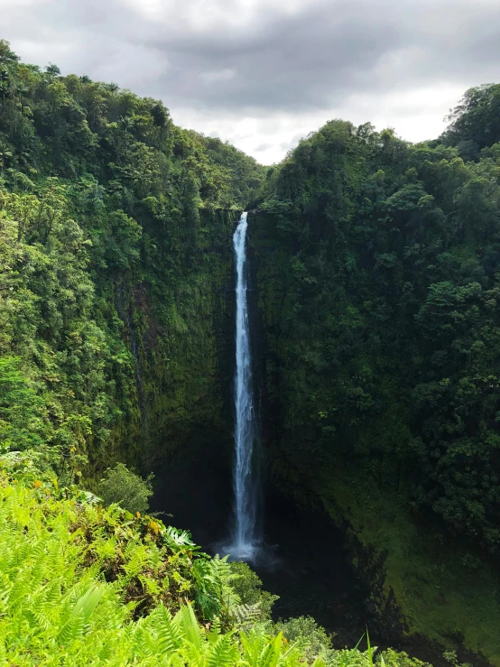 a tall waterfall with lush green forest around it