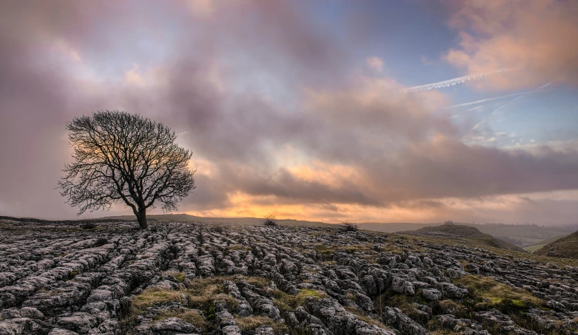 a lone tree on top of a hill under a cloudy sky