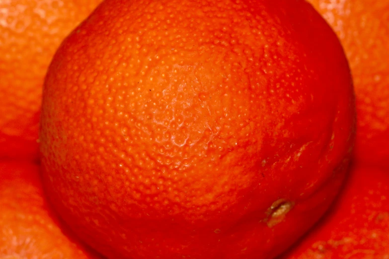 close up of a ripe orange against a backdrop of bright oranges