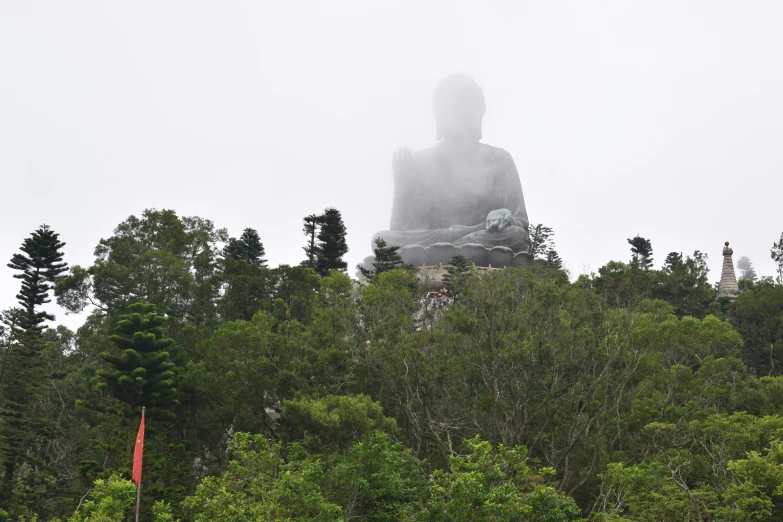 the buddha statue looks out over the trees