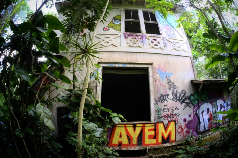 a building with graffiti is standing among some jungle