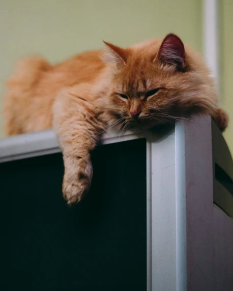 an orange cat sleeps on top of a small screen television