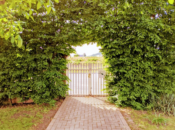 a walkway is seen through a green archway