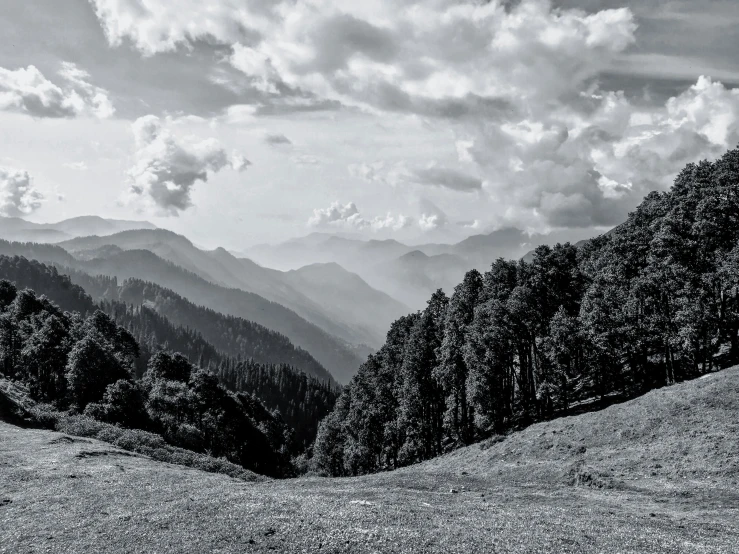 a hillside on a cloudy day in a black and white po