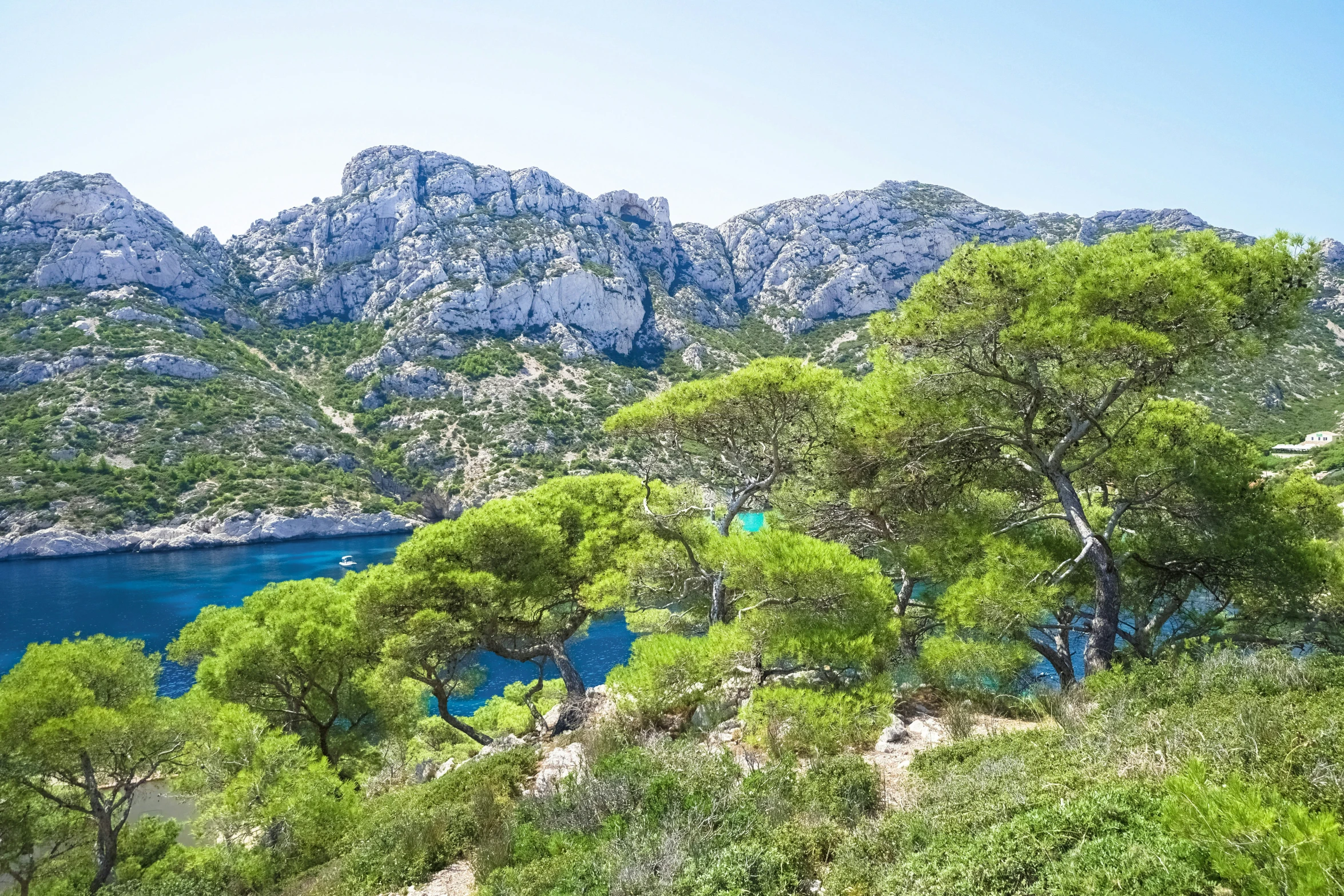 a mountain is covered with trees near the blue water