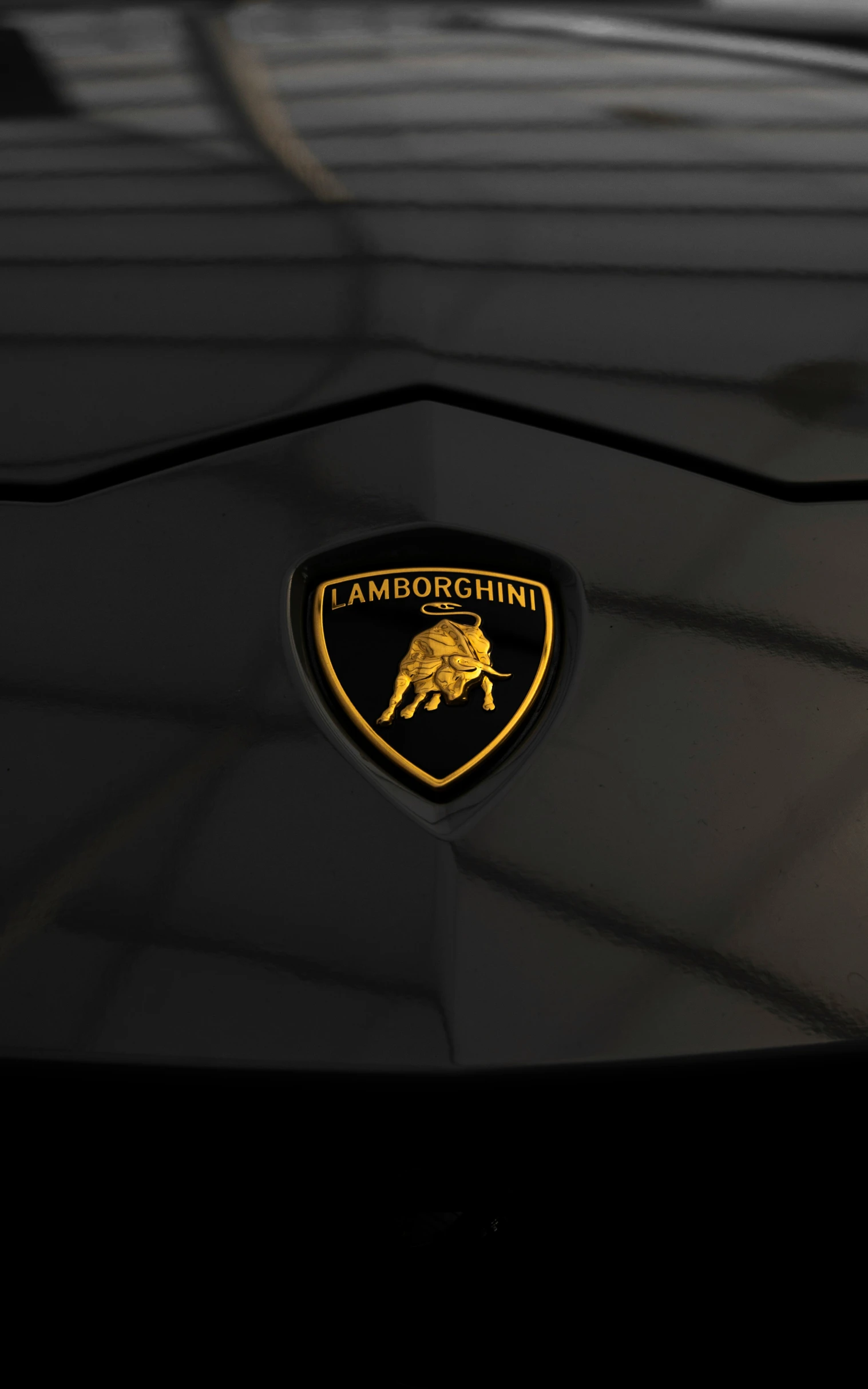 a black car with a gold lion emblem