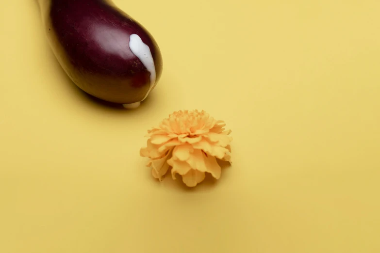 a eggplant and a flower are on a table